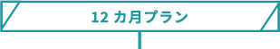 12カ月プラン