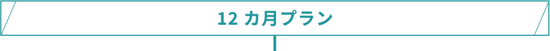 12カ月プラン